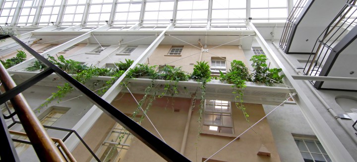 plants overflowing from a white railing from high above