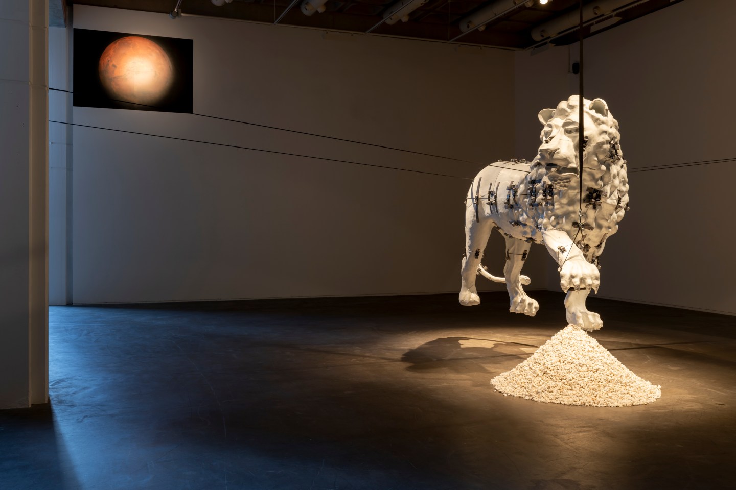 Floating sculpture of a lion with a mount of white dust underneath