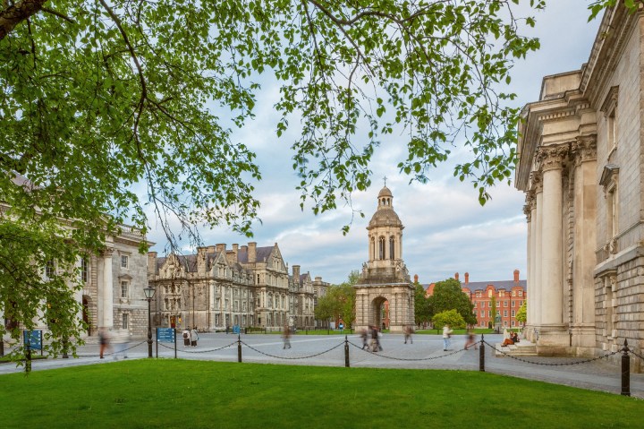 Trinity campus, with a tree overlooking